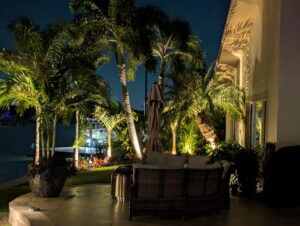 Professional landscape lighting design and installation at a Florida home